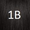 1b