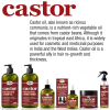3bd45142-2ef5-4a4f-a9a9-eccb4587a047_106884017-1.png