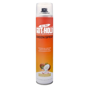 EBIN ALL DAY SHEEN SPARY 11.97 Oz