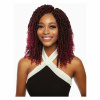 afri-naptural-crochet-hair-afri-naptural-gorgeous-passion-twist-9-10-11-twb309-28997719851094.jpg