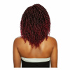afri-naptural-crochet-hair-afri-naptural-gorgeous-passion-twist-9-10-11-twb309-28997748523094.jpg