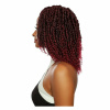 afri-naptural-crochet-hair-afri-naptural-gorgeous-passion-twist-9-10-11-twb309-28997748654166.jpg