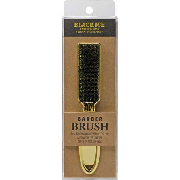 bic210.jpg