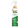 bn3519.jpg