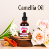 camelliaa_squarepage3.jpg