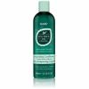 hask-hair-care-hask-tea-tree-rosemary-shampoo-12oz-16274872041558.jpg