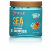 mielle-organics-hair-care-mielle-organics-sea-moss-gel-hair-masque-30064626270294.jpg
