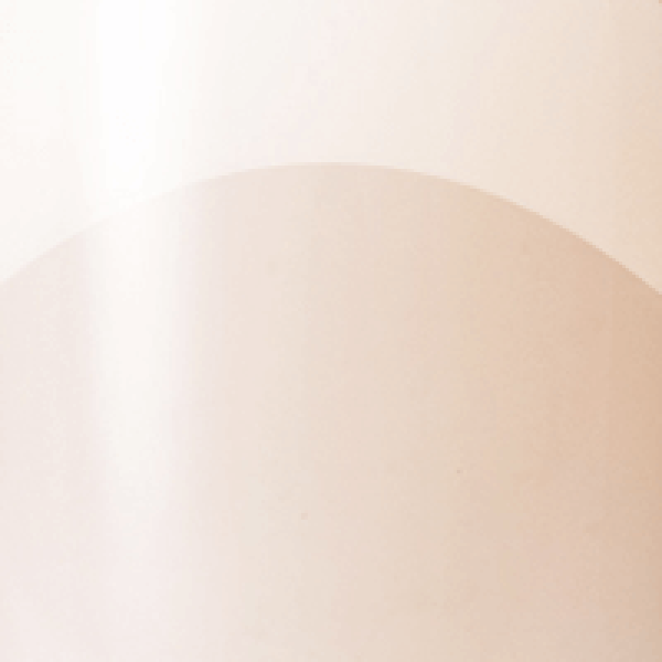 sbs_020860.png