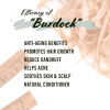 wh11_burdock_efficacy.jpg