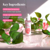 wr00_rosewater_spray_a__thumbnail_page_2.jpg