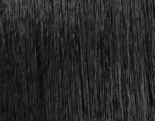 51WXzmHcxML._SL500_