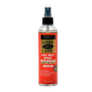 EBIN Melting Spray(Firm) 8oz
