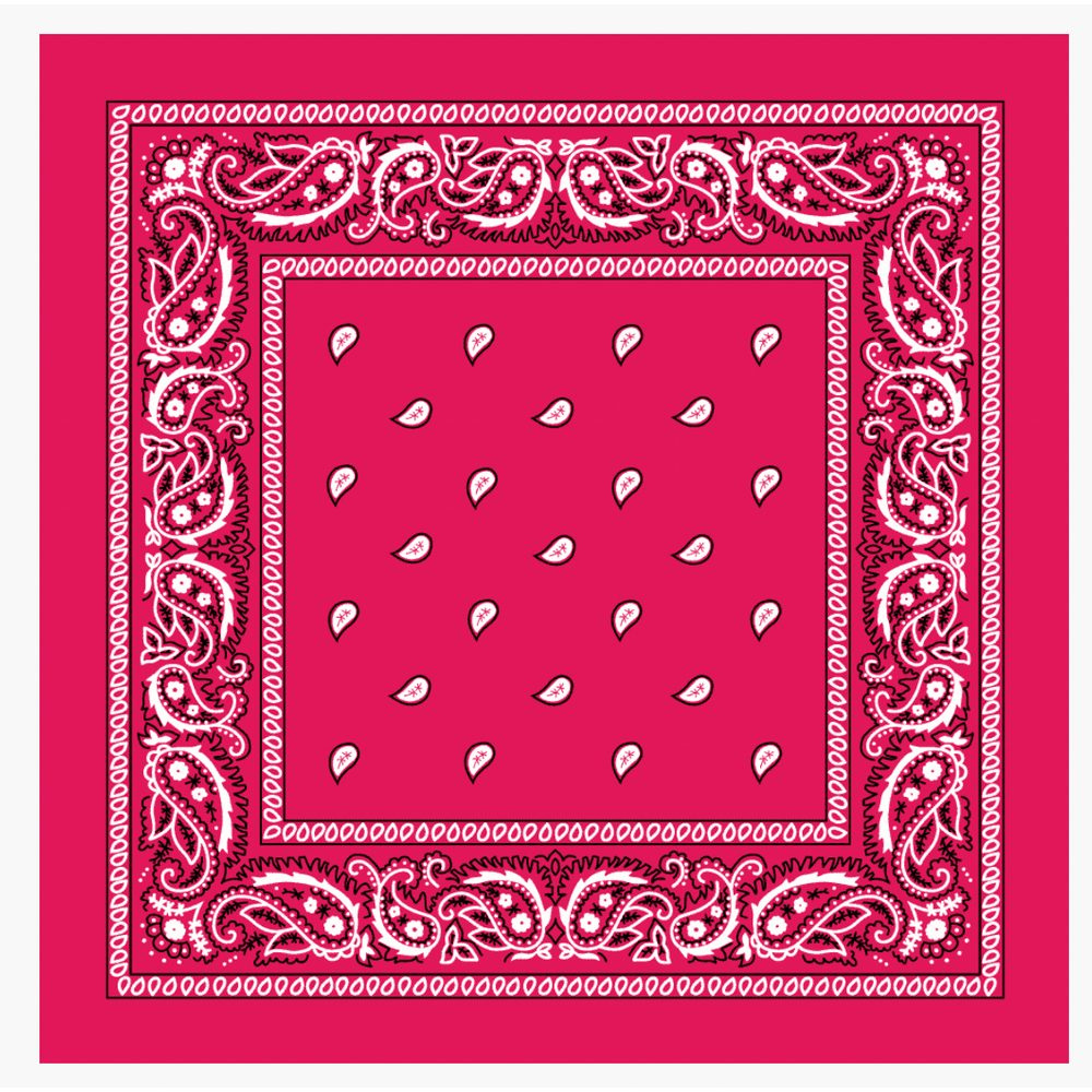 eve-bandana-assorted-colors-prints-9396099