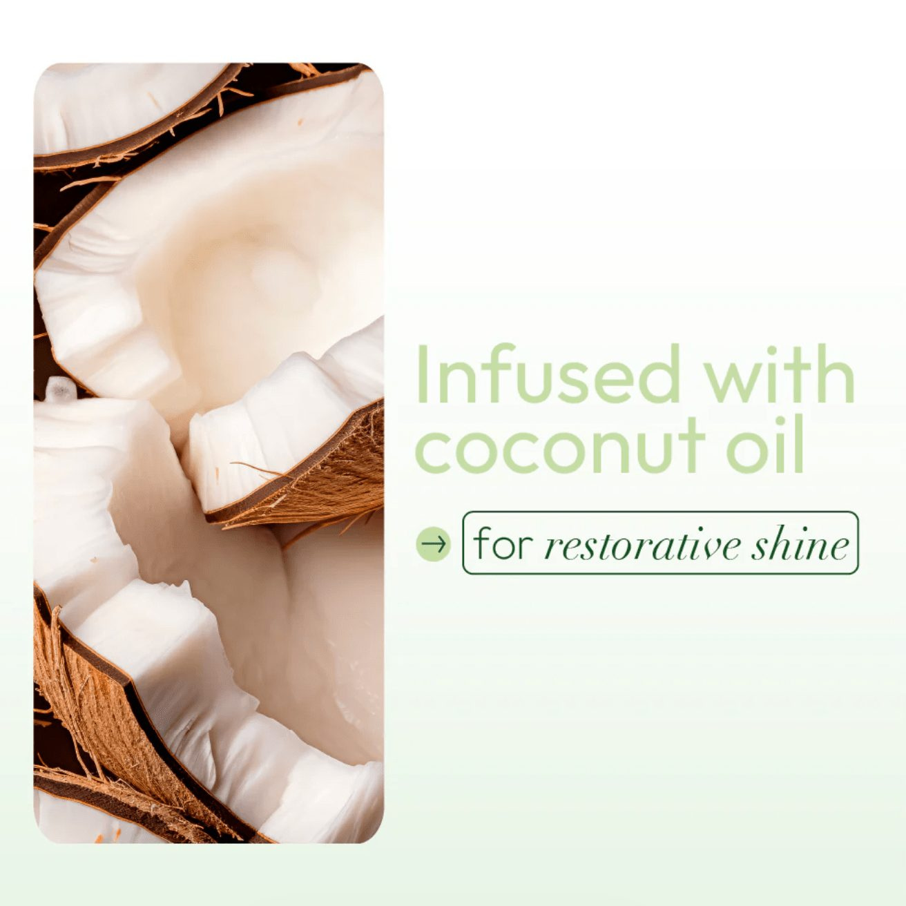 ors-olive-oil-sheen-spray-coconut-10-oz-5436064