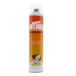 EBIN ALL DAY SHEEN SPARY 11.97 Oz