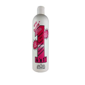6N1 MOISTURE LOTION 16OZ (12/CS) [EXTRA DRY]