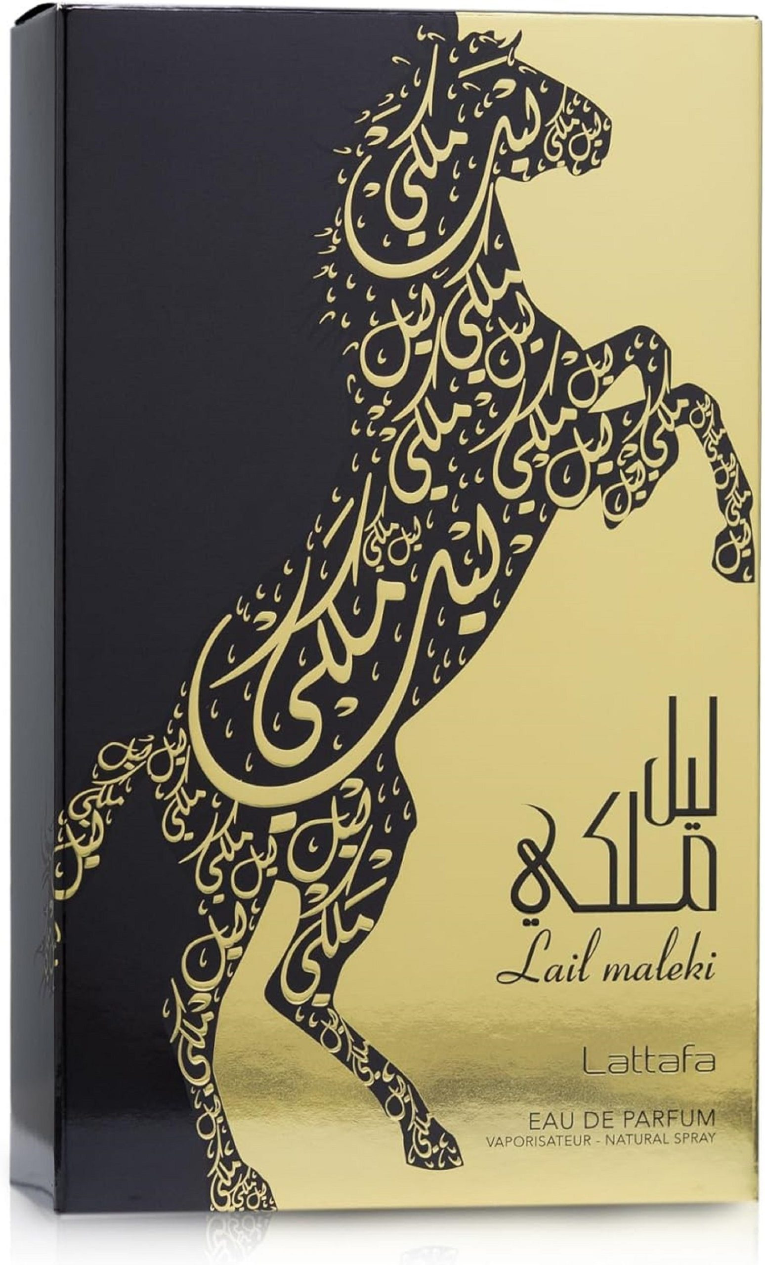 71dpLLEw6qL._AC_SL1500